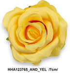 HHA123765_AND_YEL