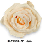 HHA123765_APR