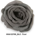 HHA123765_BLC