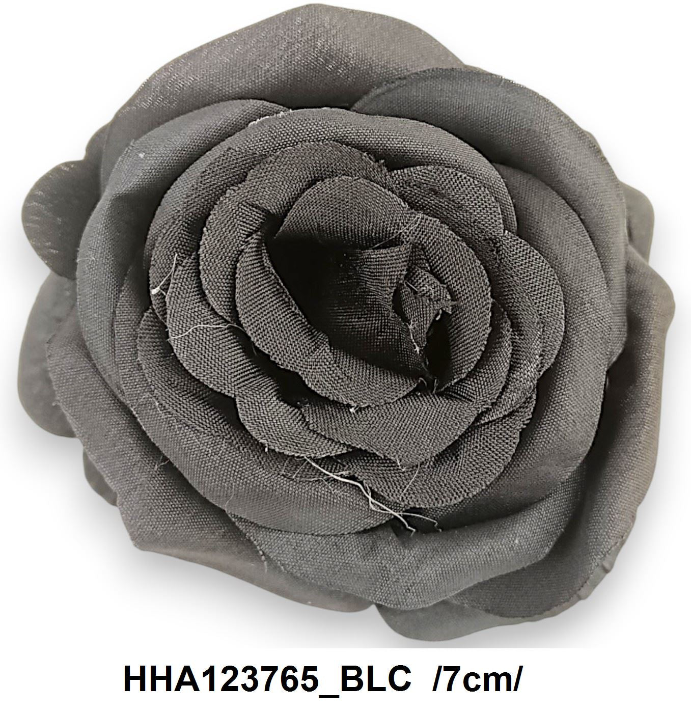 HHA123765_BLC