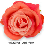HHA123765_COR