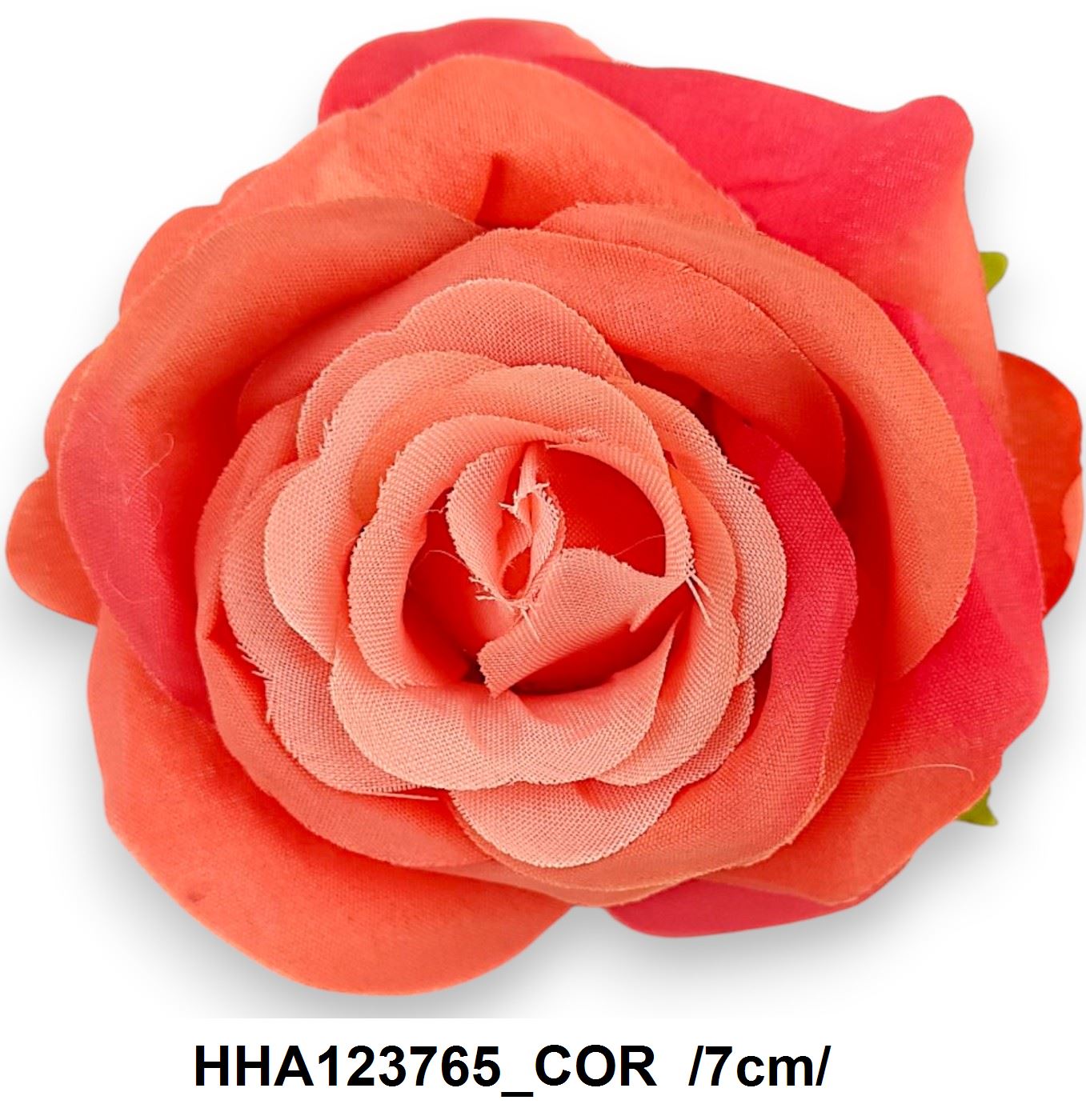 HHA123765_COR