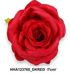 HHA123765_DKRED