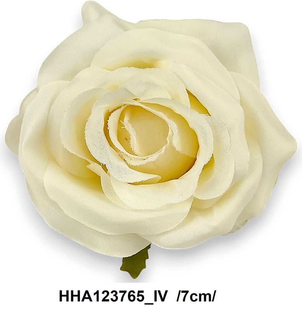 HHA123765_IV