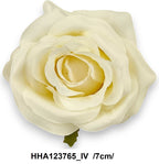 HHA123765_IV