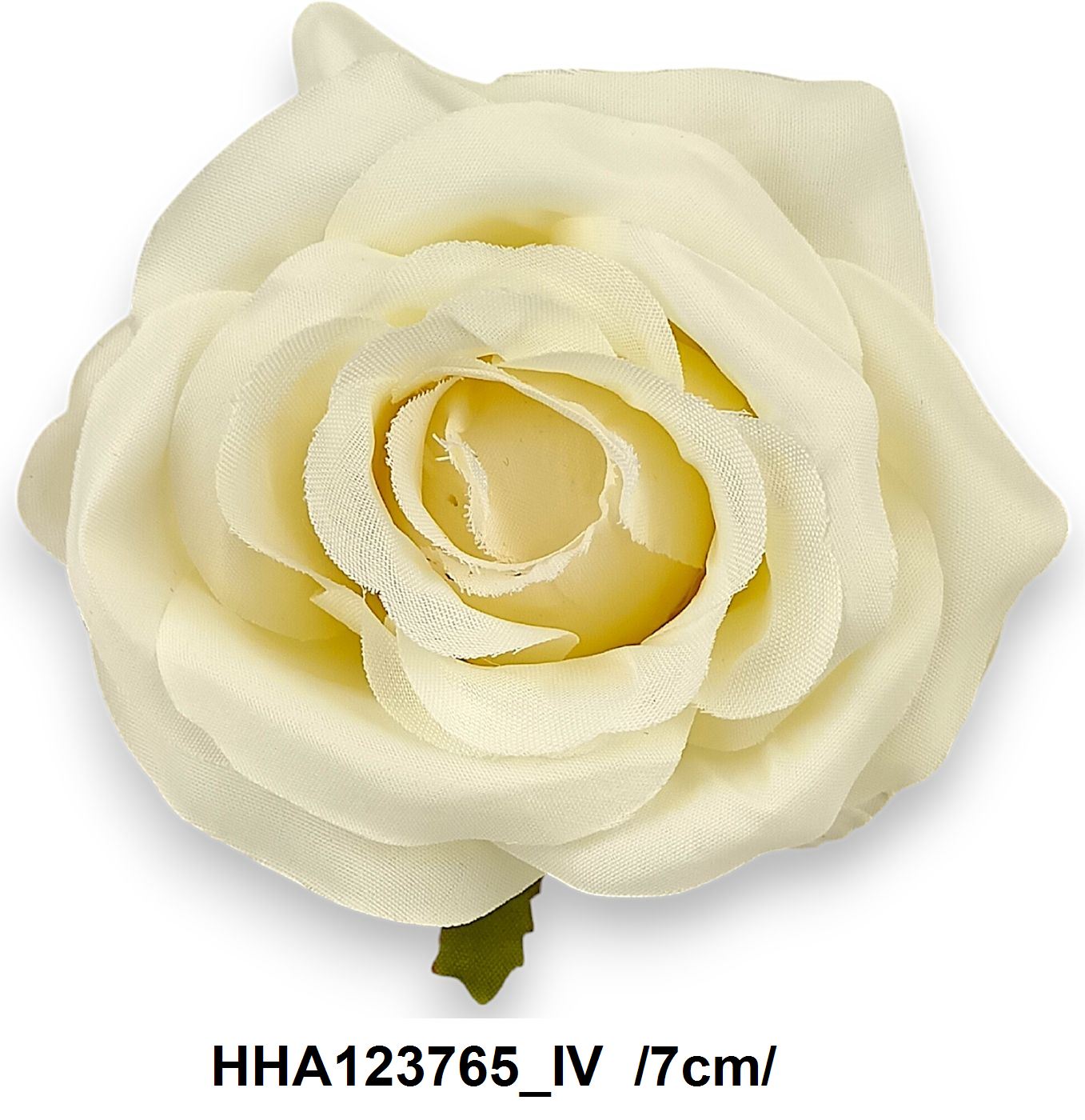 HHA123765_IV