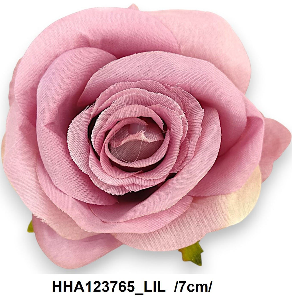 HHA123765_LIL