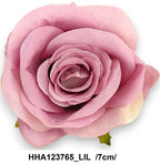 HHA123765_LIL