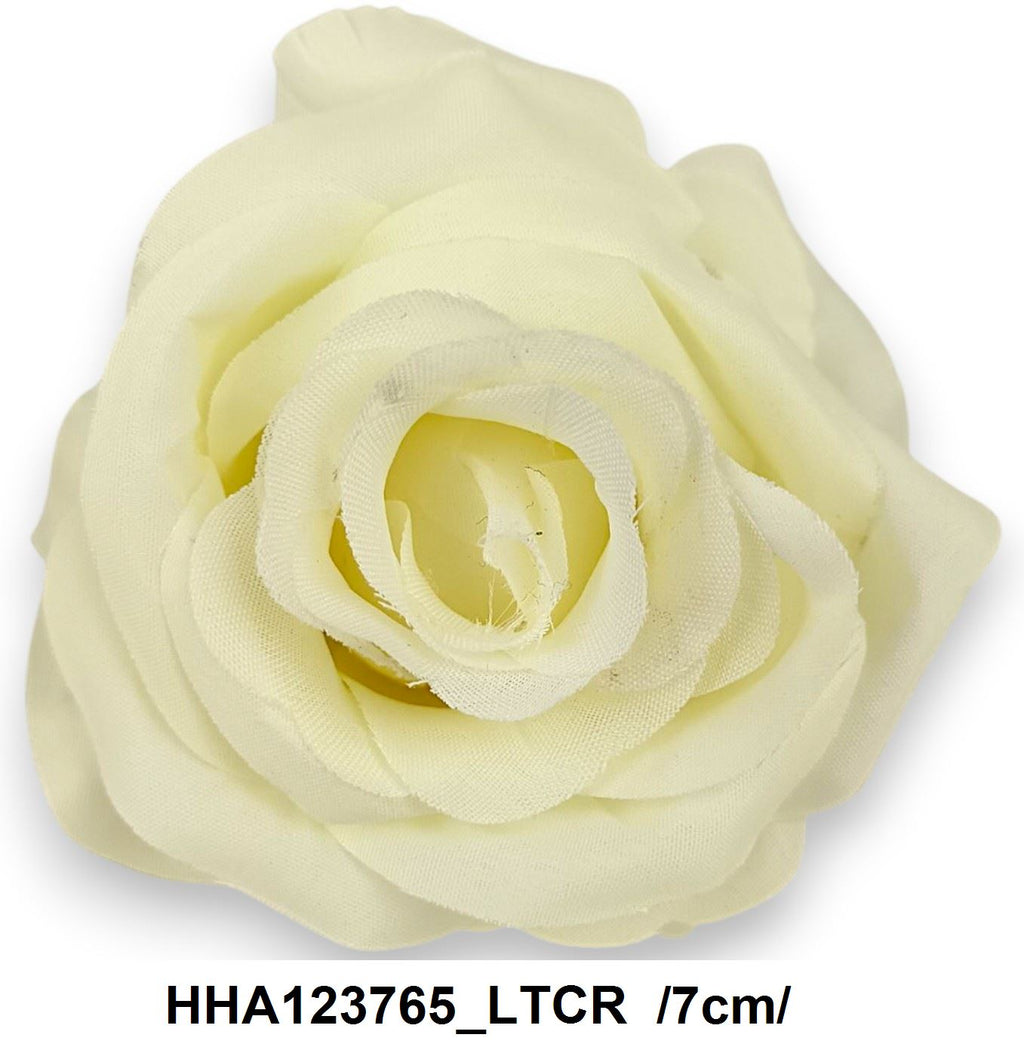 HHA123765_LTCR
