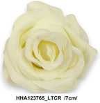 HHA123765_LTCR