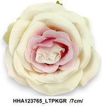 HHA123765_LTPKGR