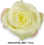 HHA123765_MNT