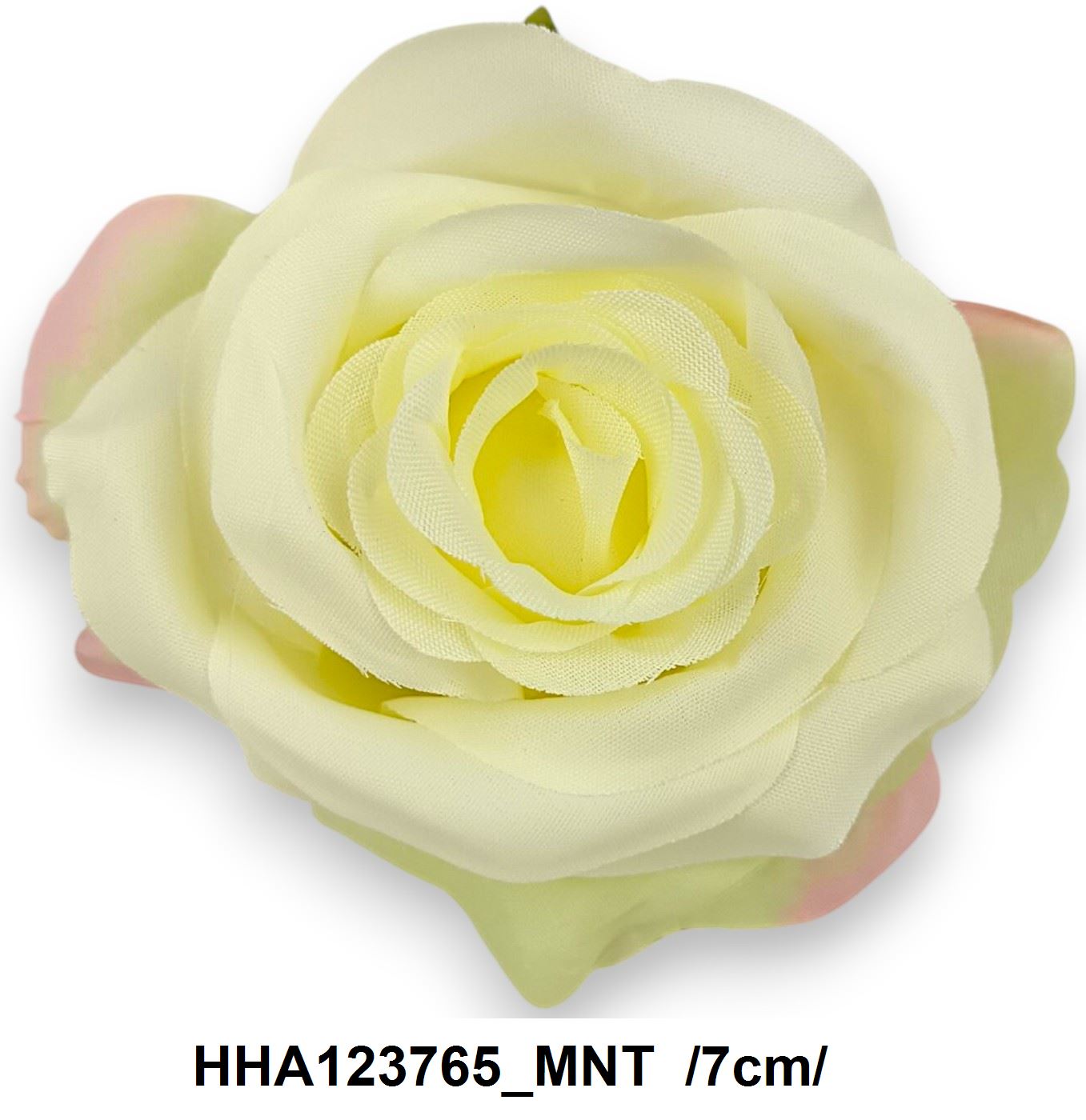 HHA123765_MNT