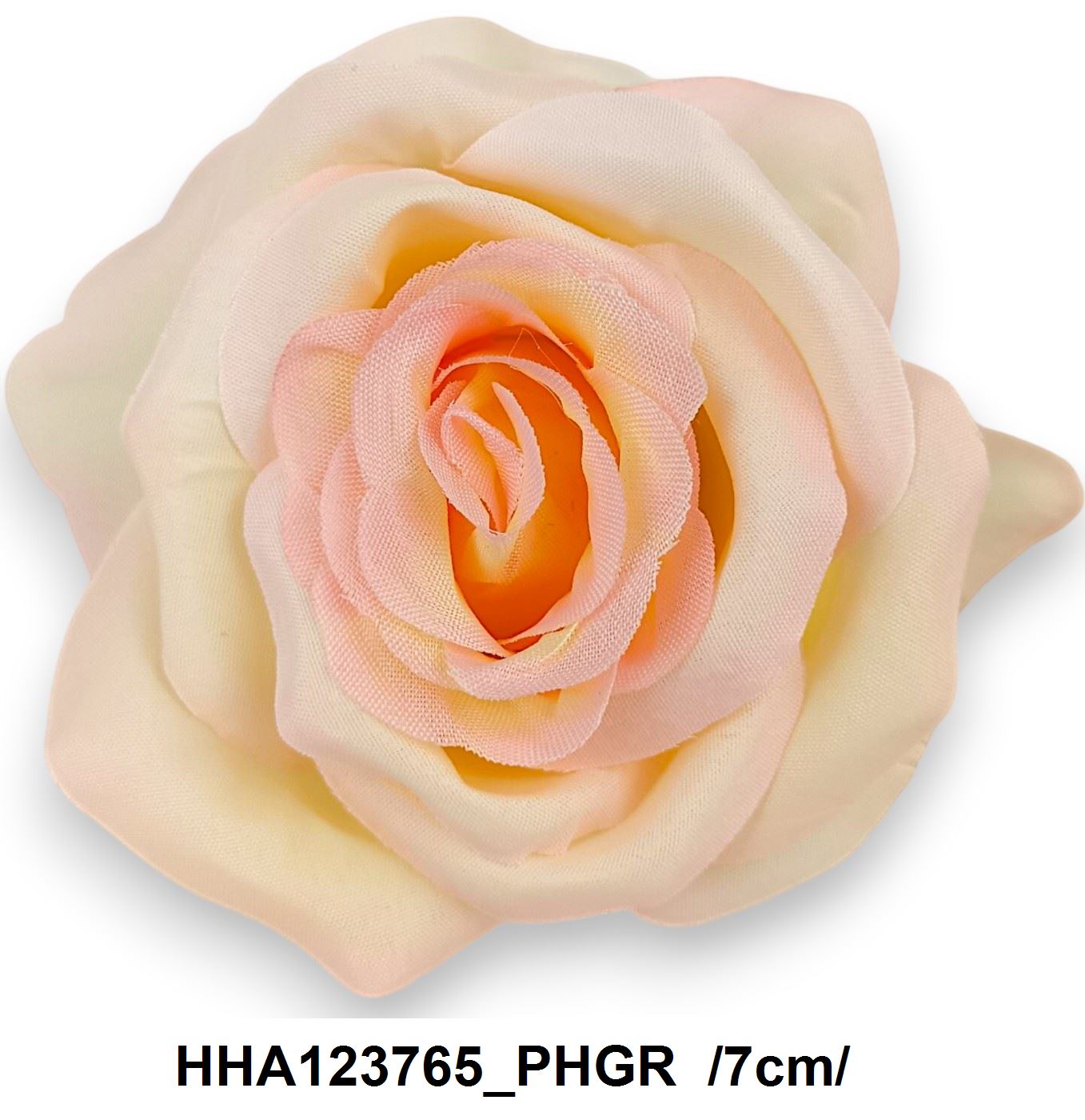 HHA123765_PHGR