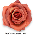 HHA123765_RUST