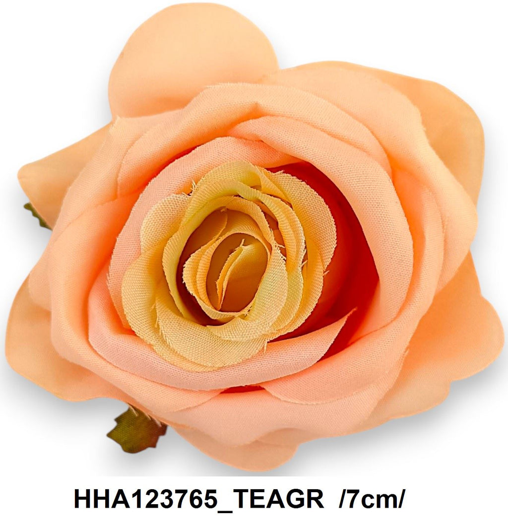 HHA123765_TEAGR