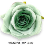 HHA123765_TRK