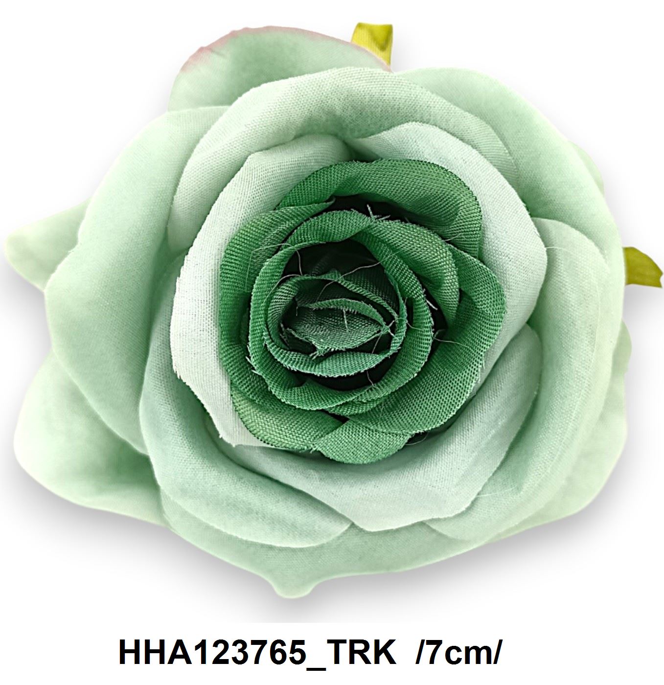 HHA123765_TRK
