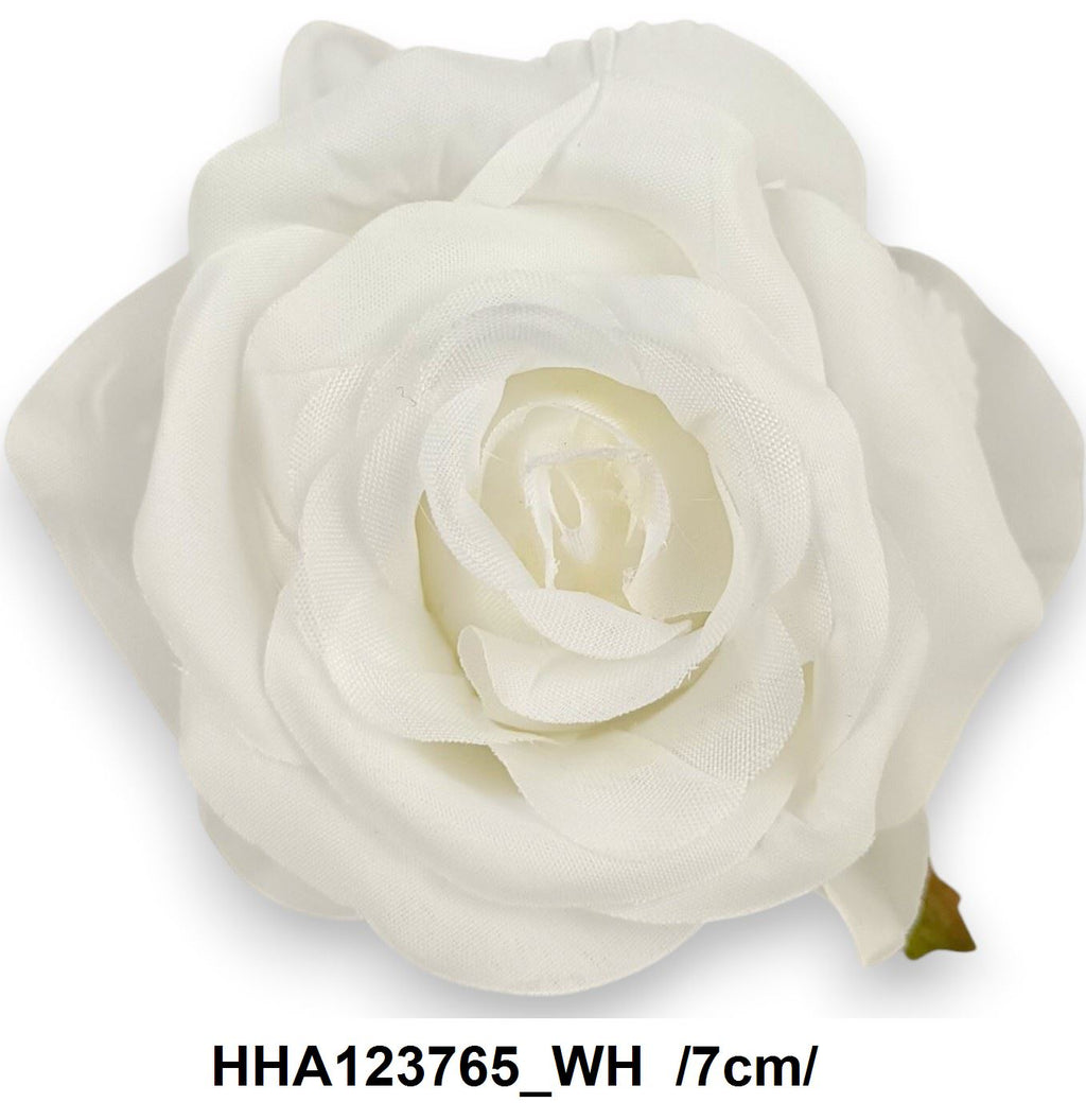 HHA123765_WH