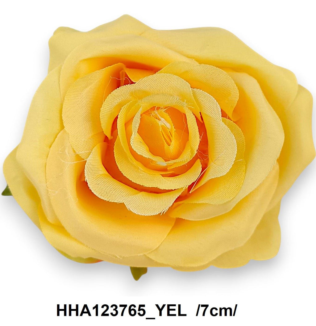 HHA123765_YEL