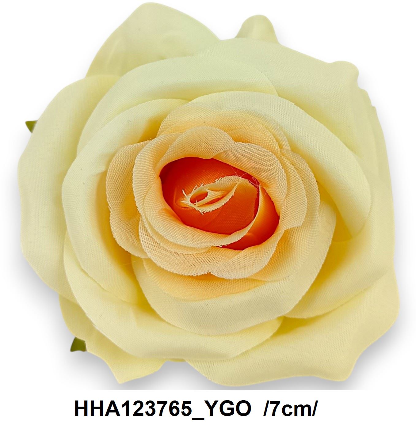 HHA123765_YGO