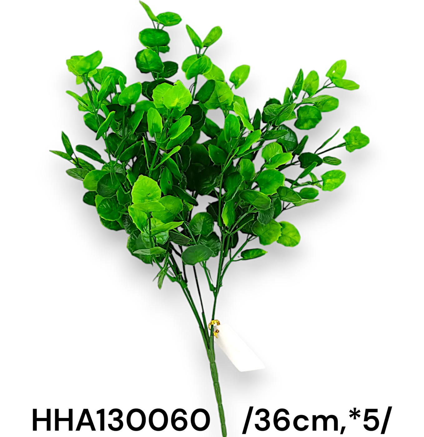Békalencsés zöld bokor /36cm,*5/