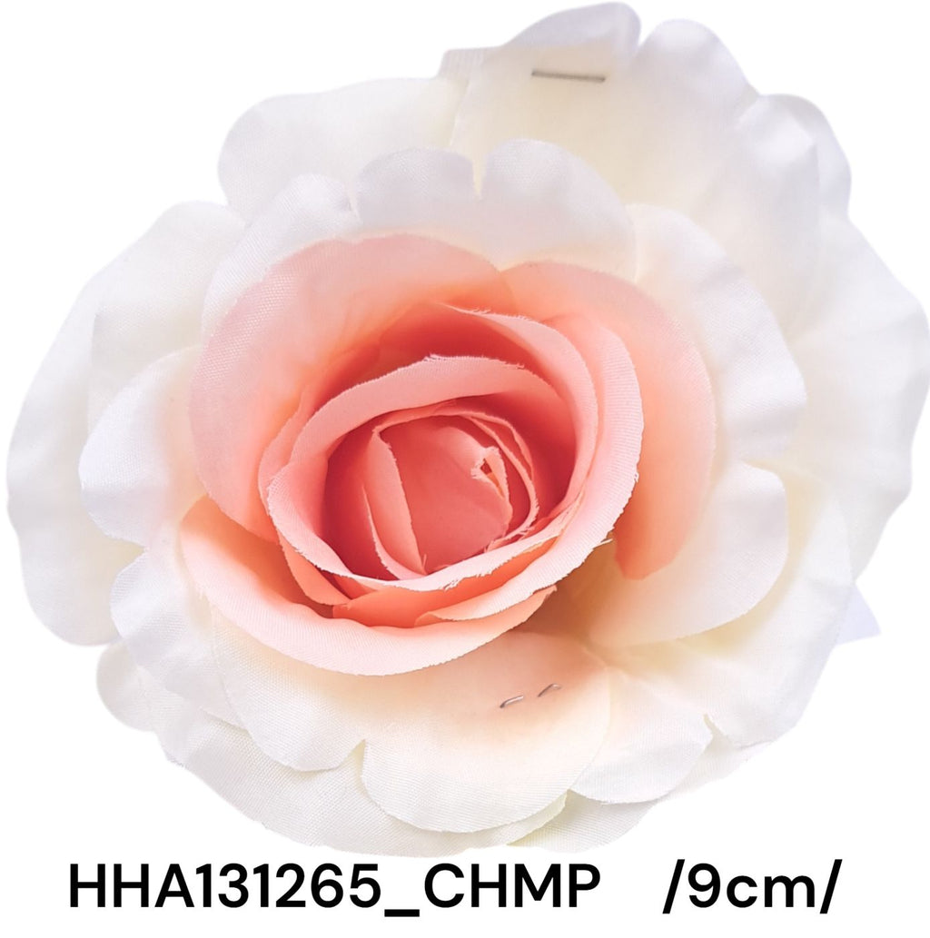 HHA131265_CHMP