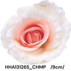 HHA131265_CHMP