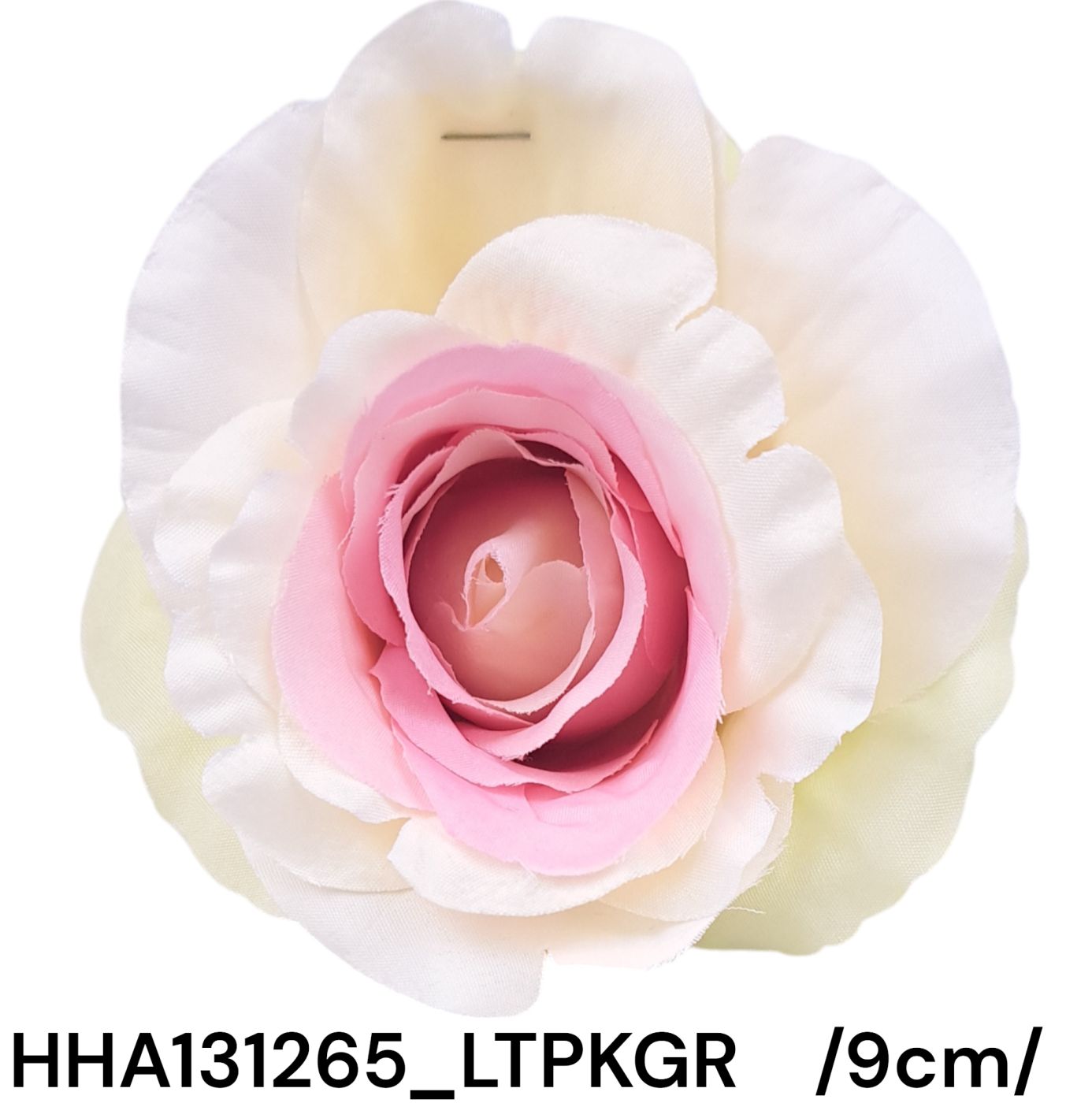 HHA131265_LTPKGR