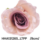 HHA131265_LTPP
