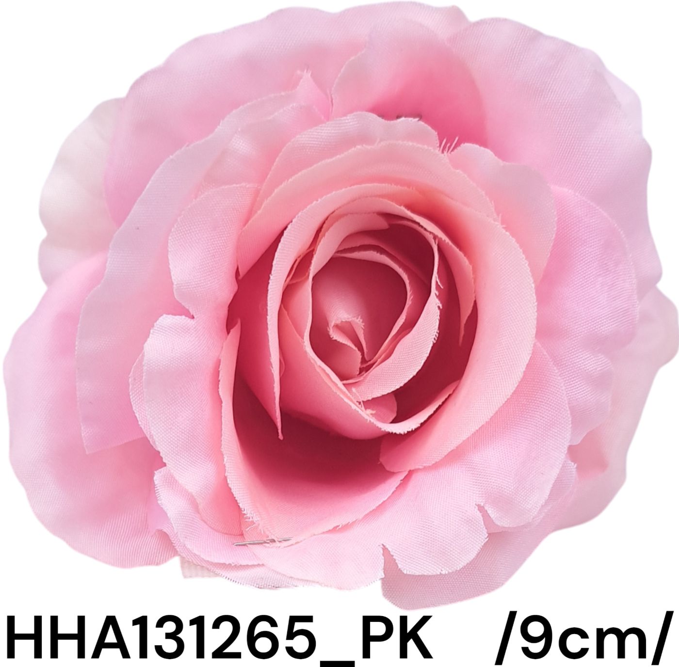 HHA131265_PK