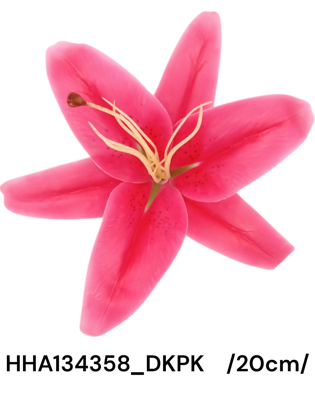 HHA134358_DKPK