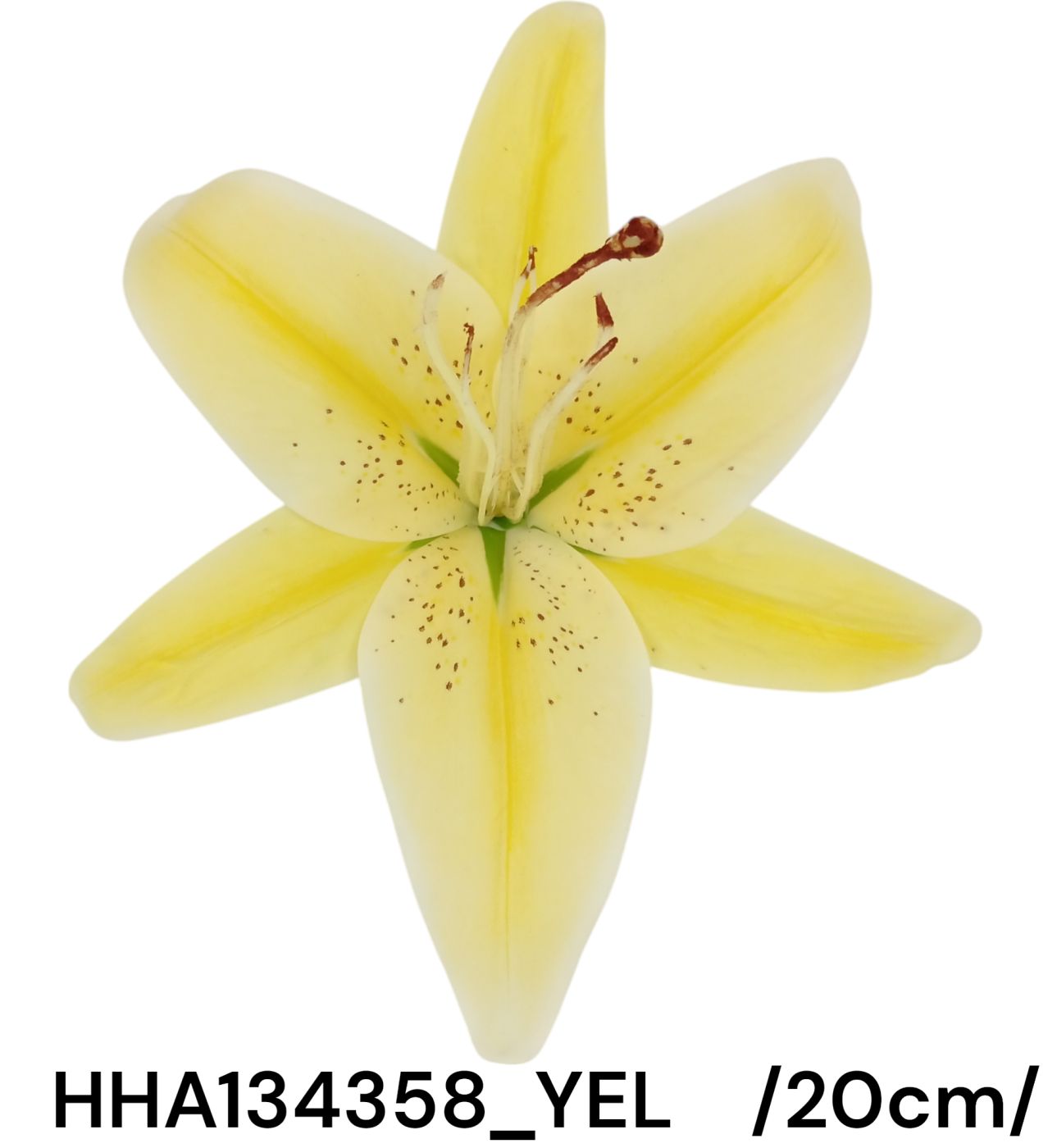 HHA134358_YEL