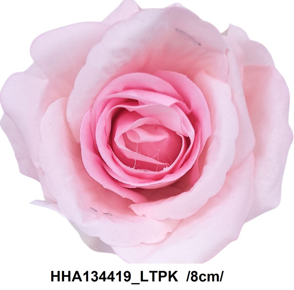 HHA134419_LTPK