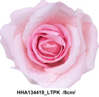 HHA134419_LTPK