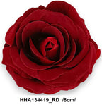 HHA134419_RD
