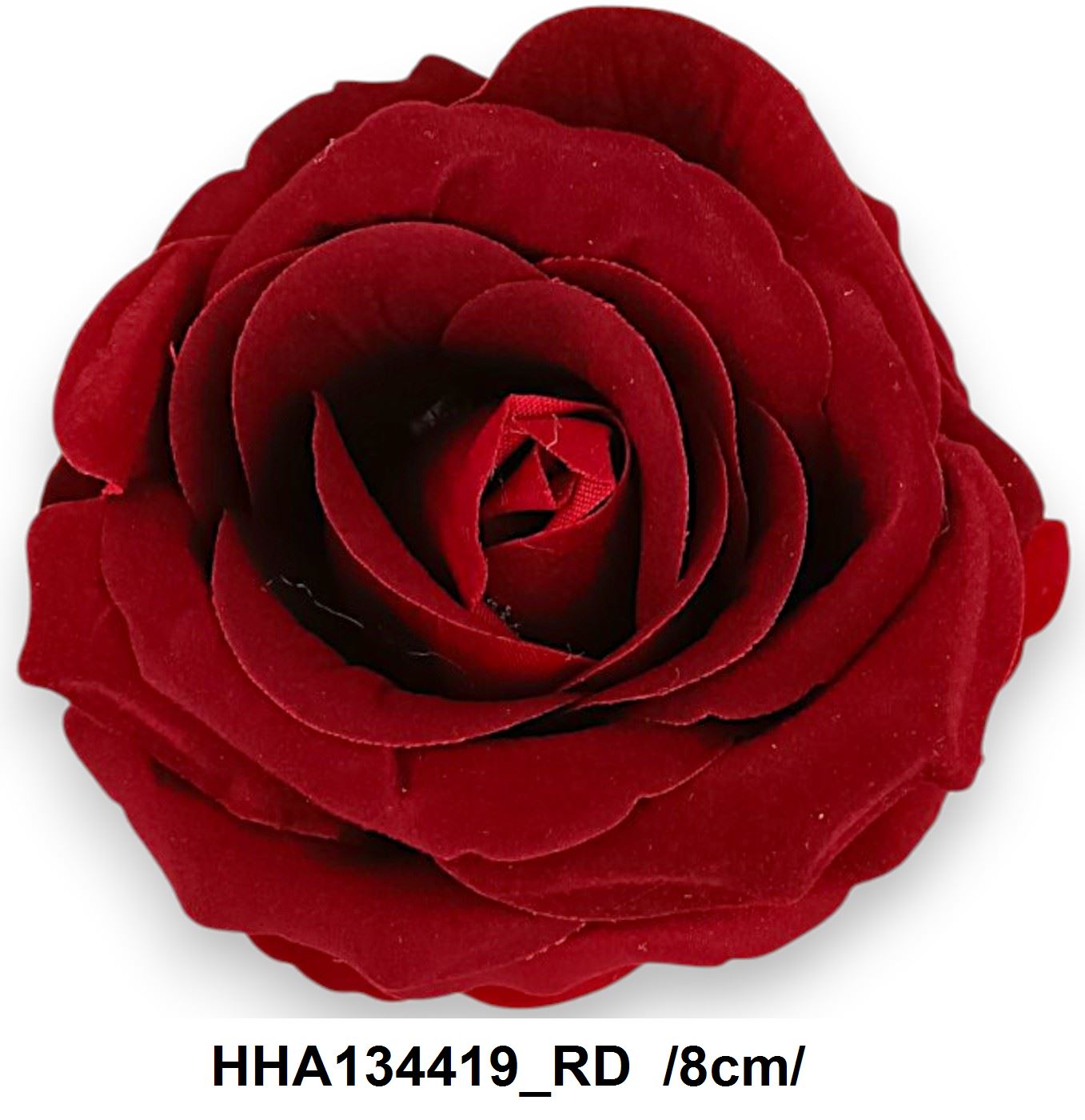 HHA134419_RD