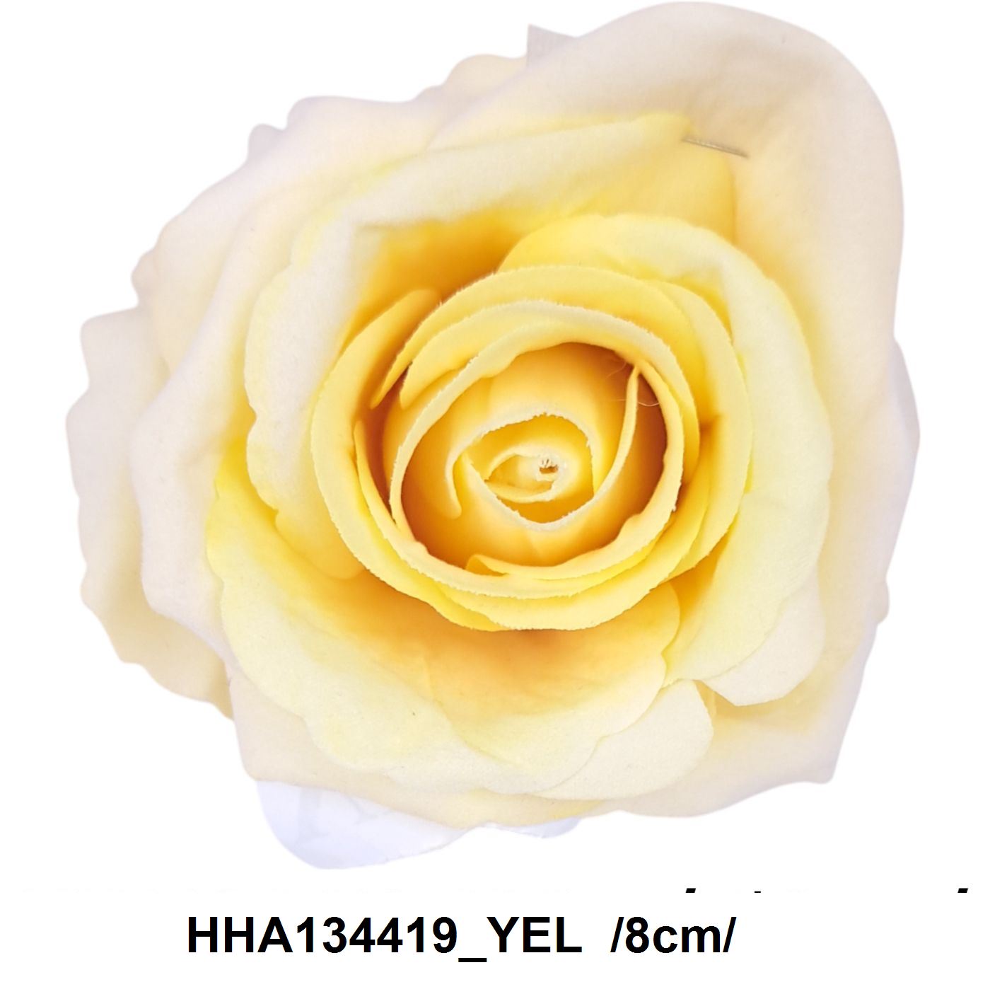 HHA134419_YEL