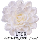 HHA134976_LTCR