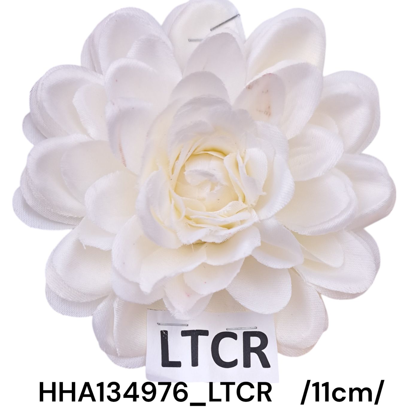 HHA134976_LTCR