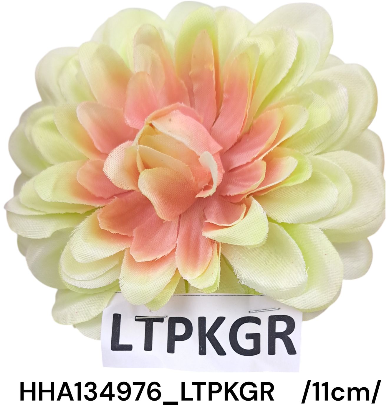HHA134976_LTPKGR