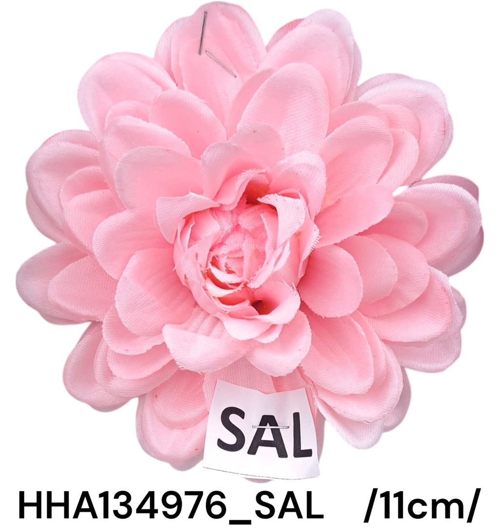 HHA134976_SAL