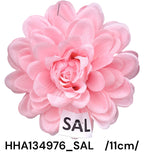 HHA134976_SAL