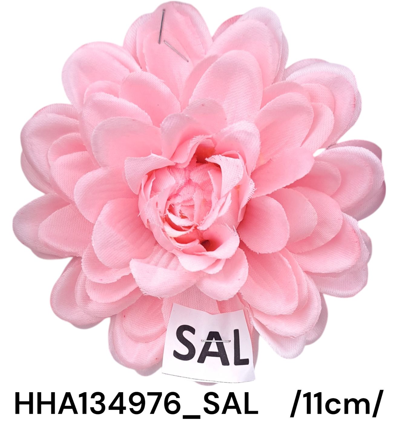 HHA134976_SAL