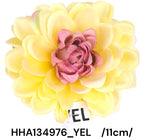 HHA134976_YEL