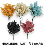 HHA135195_AUT
