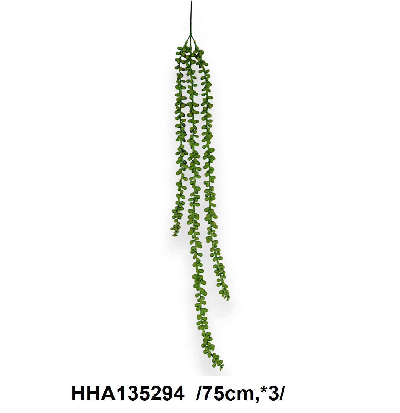 Csüngõ varjúháj /75cm,*3/