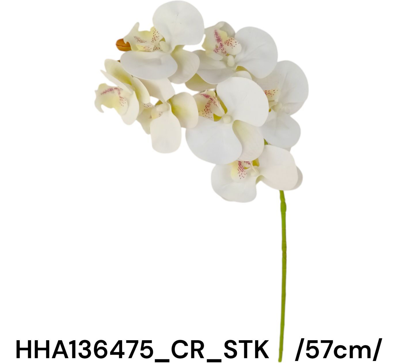 Szálas real touch orchidea, zacsiban /57cm/