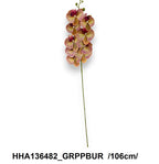 HHA136482_GRPPBUR