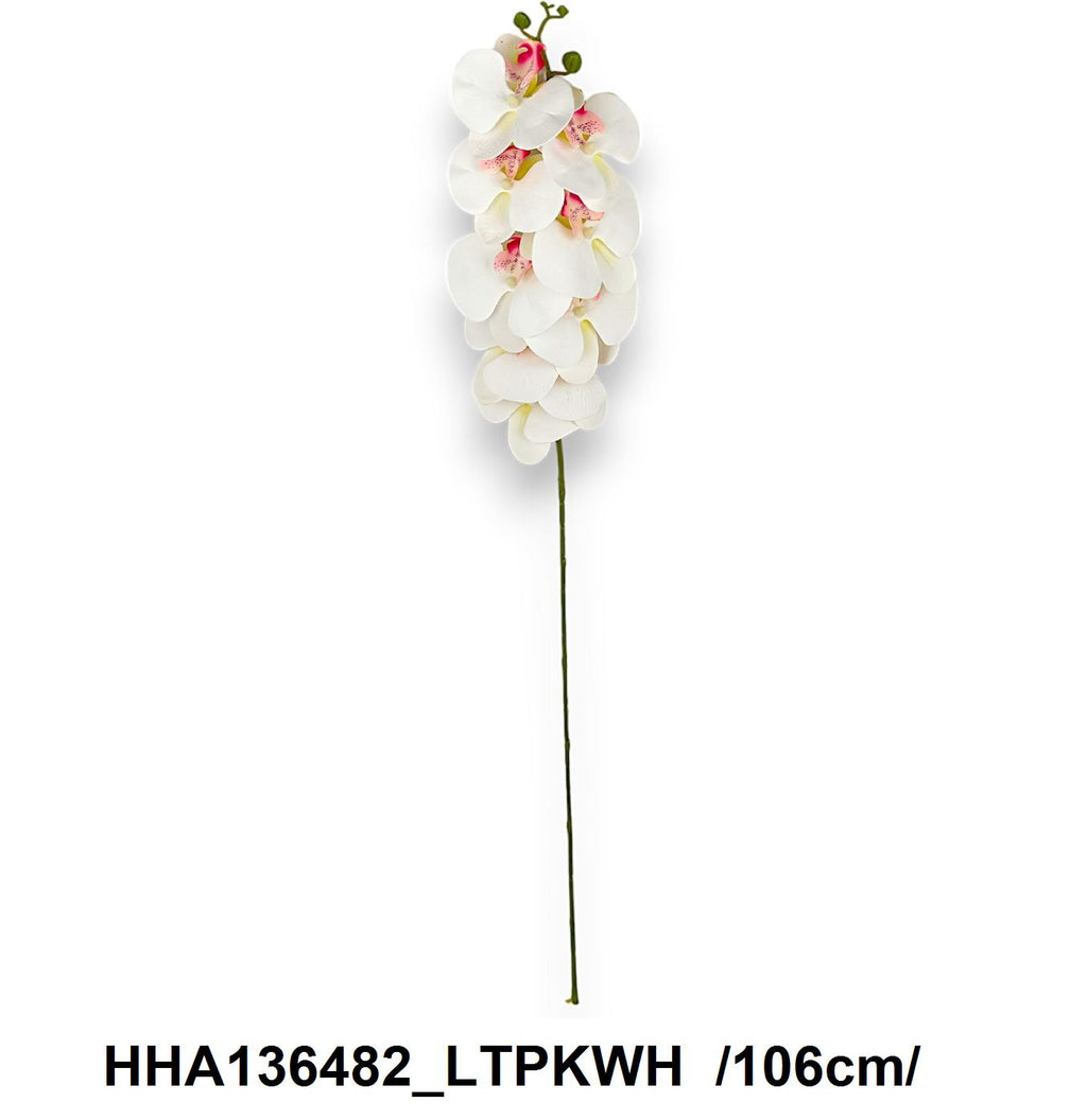HHA136482_LTPKWH